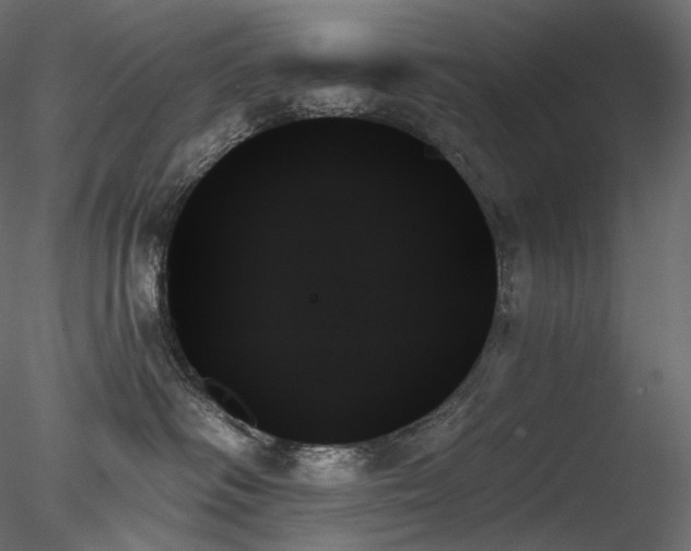 X0000078270334200611031149