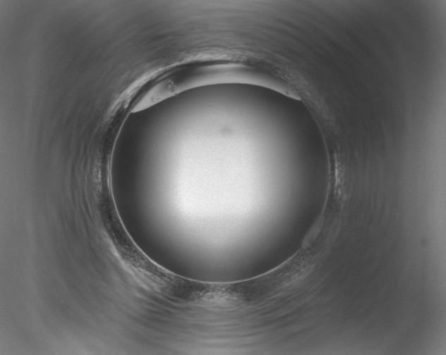 X0000078270348200611031148
