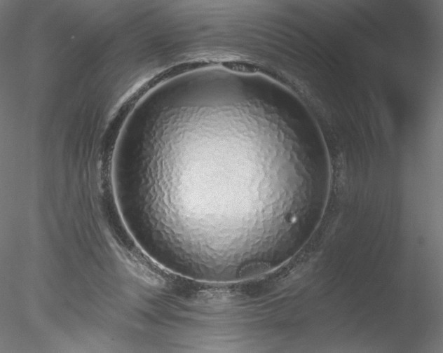 X0000078270351200611031148