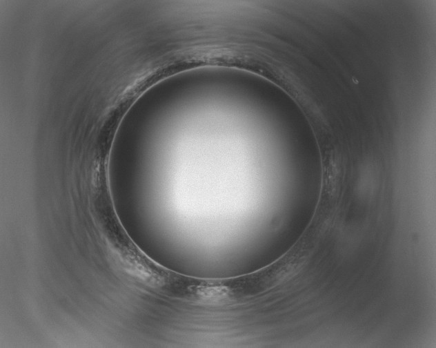 X0000078270355200611031148