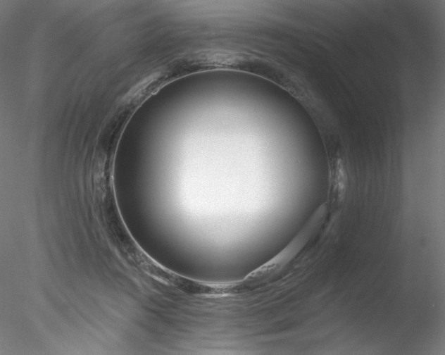 X0000078270360200611031148