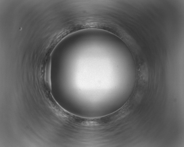 X0000078270361200611031148