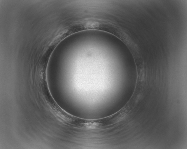 X0000078270363200611031148