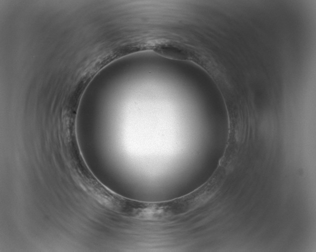 X0000078270366200611031148