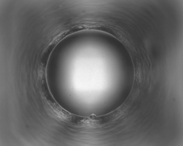X0000078270367200611031148