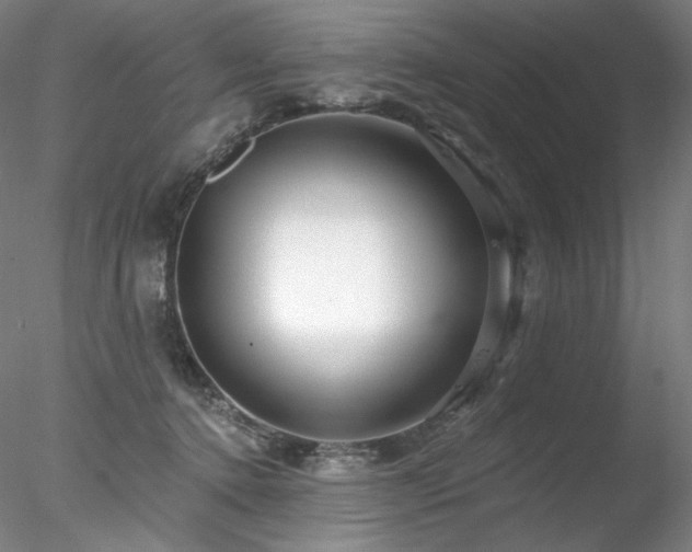 X0000078270368200611031148