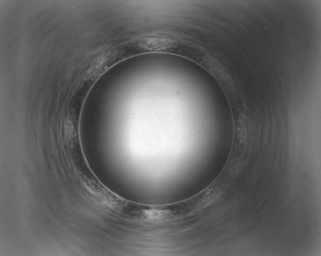 X0000078270371200611031148