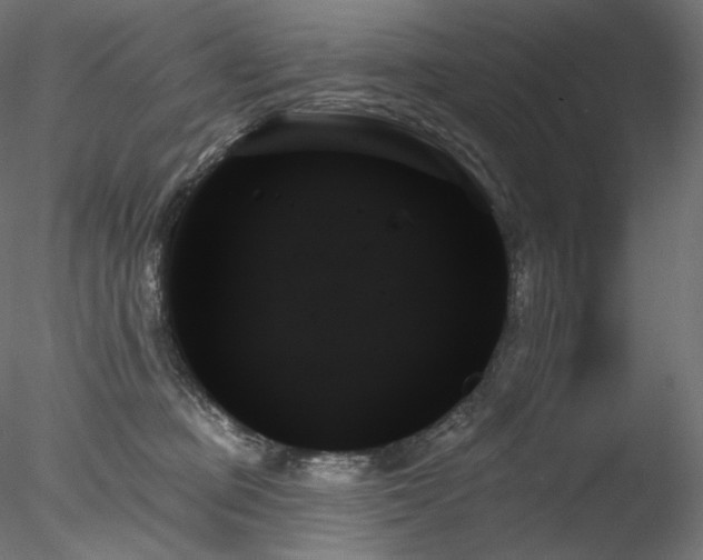 X0000078270373200611031148