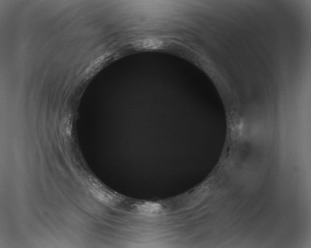 X0000078270374200611031148