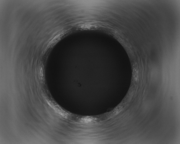 X0000078270375200611031149