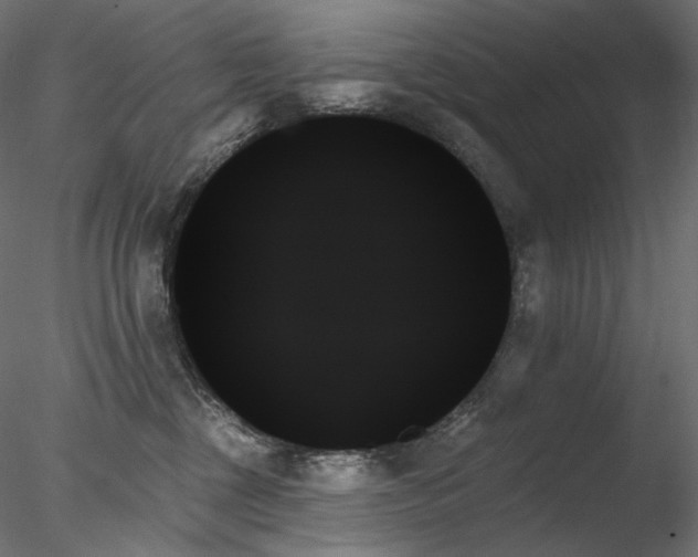 X0000078270377200611031149