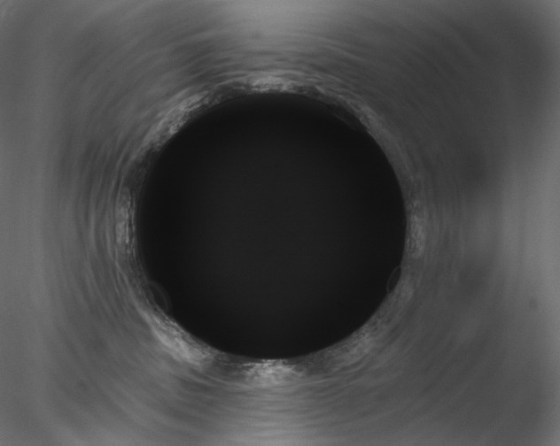 X0000078270379200611031149
