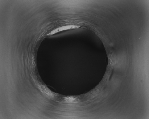 X0000078270380200611031149