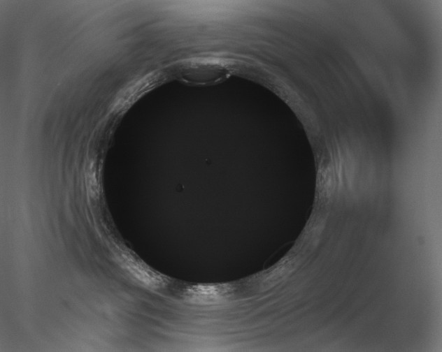 X0000078270381200611031149