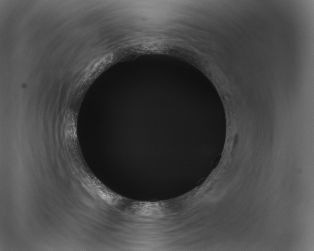 X0000078270384200611031149