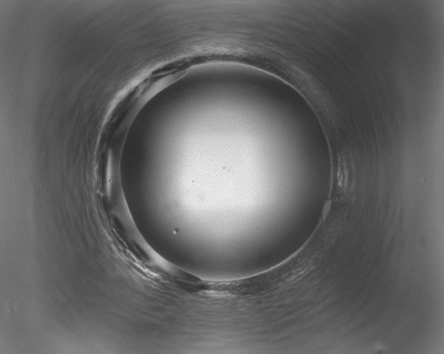 X0000078270388200611031148