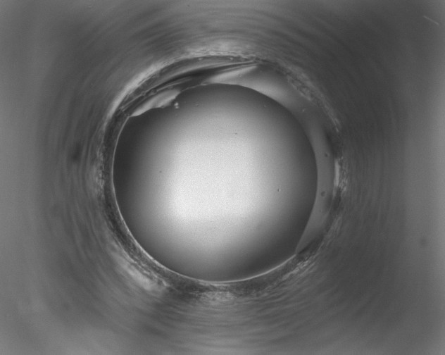 X0000078270392200611031148