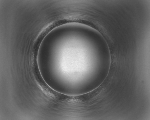 X0000078270400200611031148