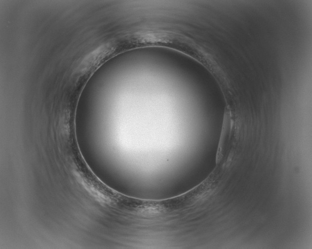 X0000078270402200611031148