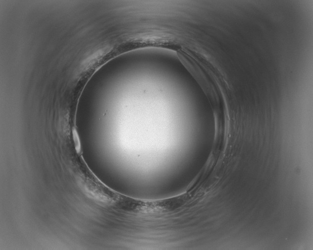X0000078270403200611031148
