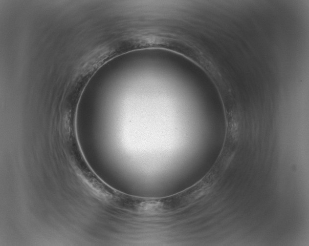 X0000078270410200611031147