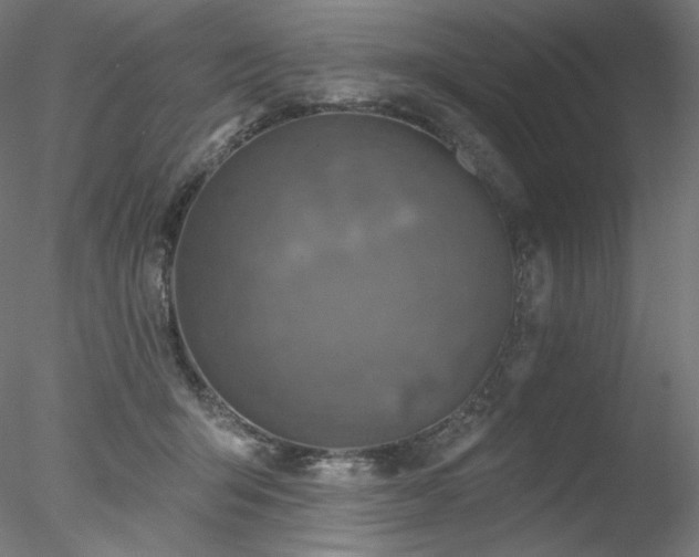 X0000078270415200611031147
