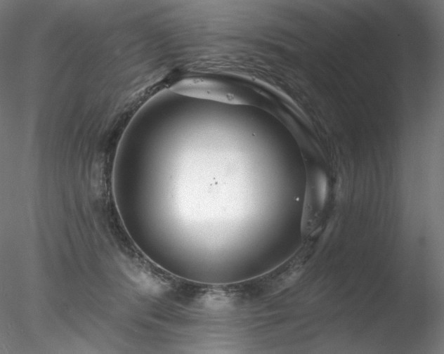X0000078270416200611031147