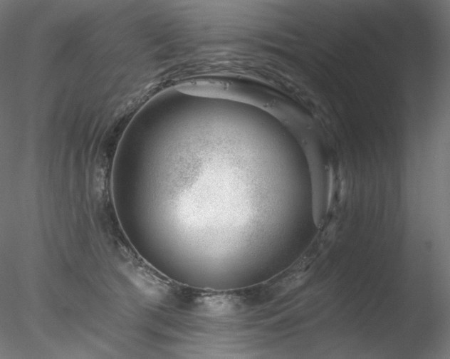 X0000078270417200611031147
