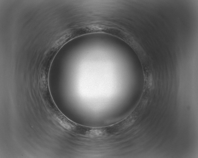 X0000078270418200611031147