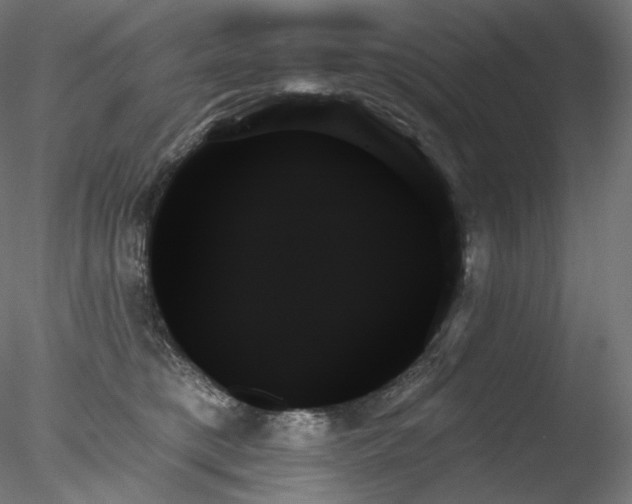 X0000078270421200611031147