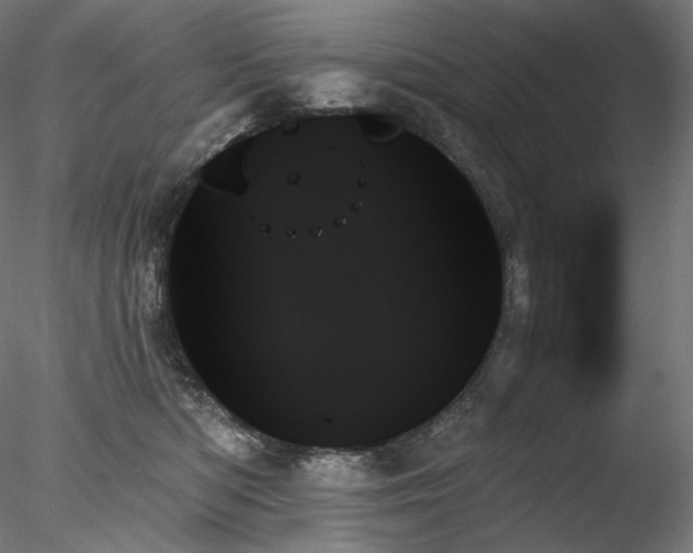 X0000078270422200611031147