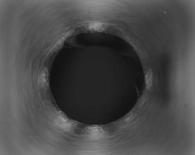 X0000078270424200611031147
