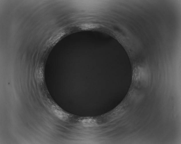 X0000078270426200611031147