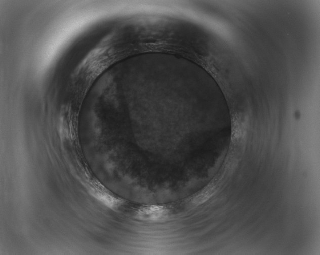 X0000078270431200611031147