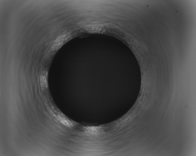 X0000078270432200611031147