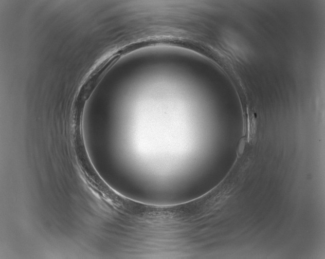 X0000078270435200611031146
