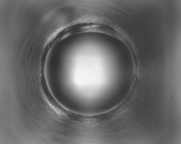 X0000078270438200611031146