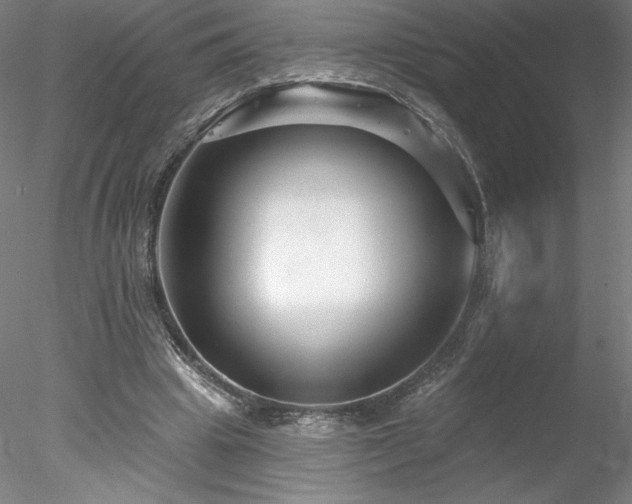 X0000078270441200611031146