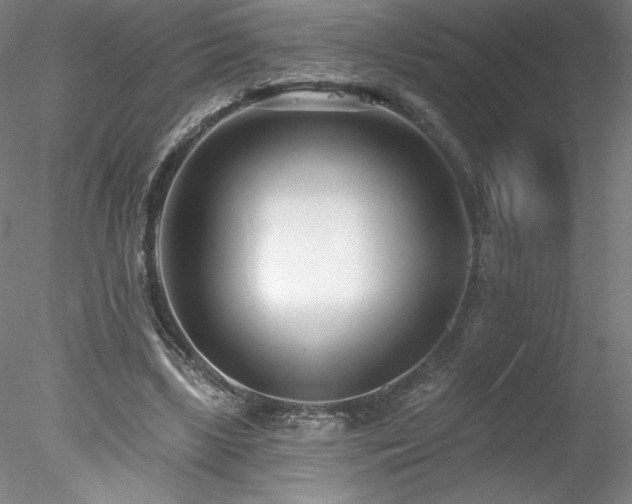 X0000078270443200611031146