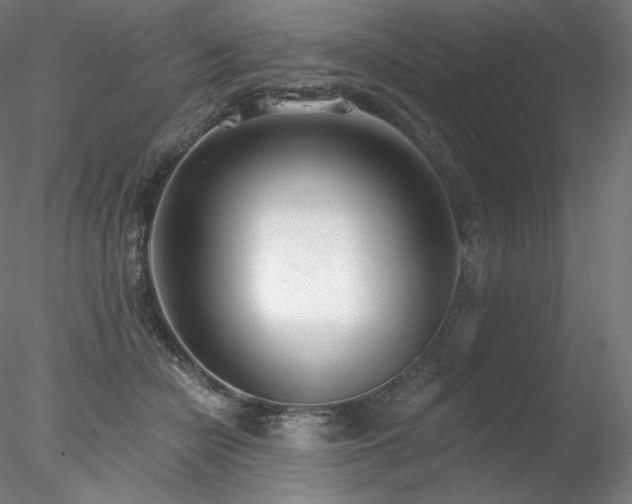 X0000078270462200611031147