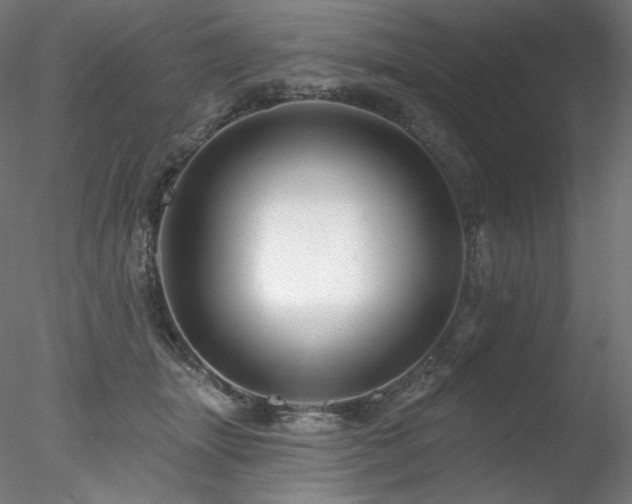 X0000078270463200611031147