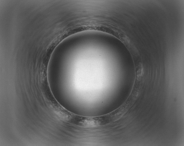 X0000078270464200611031147