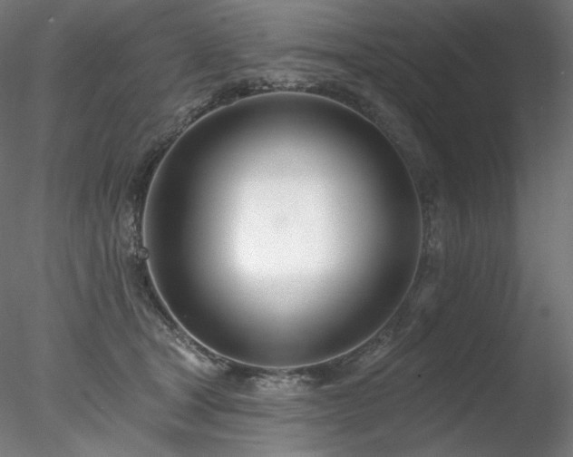 X0000078270465200611031147