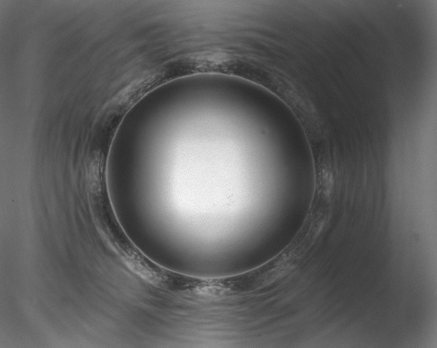 X0000078270468200611031147