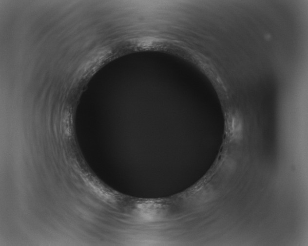 X0000078270470200611031147