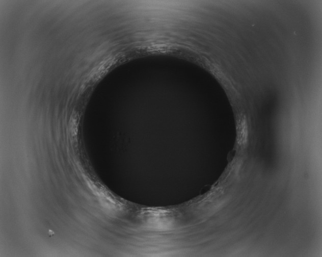 X0000078270472200611031147