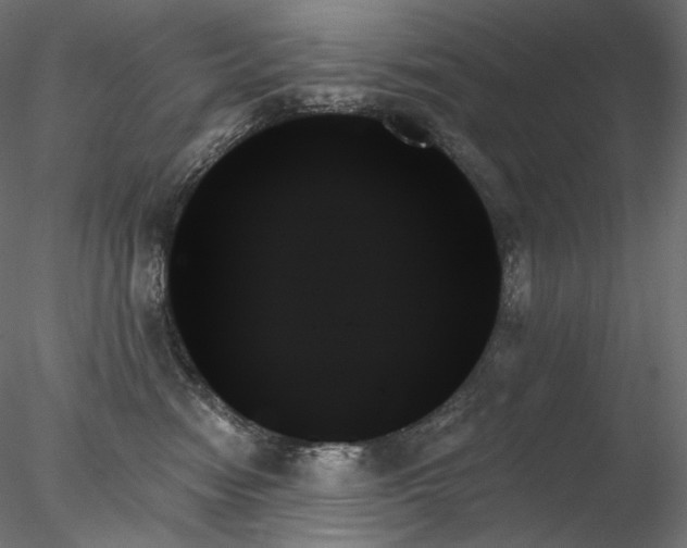 X0000078270474200611031147
