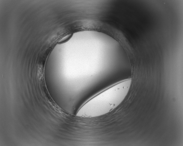 X0000078270478200611031147