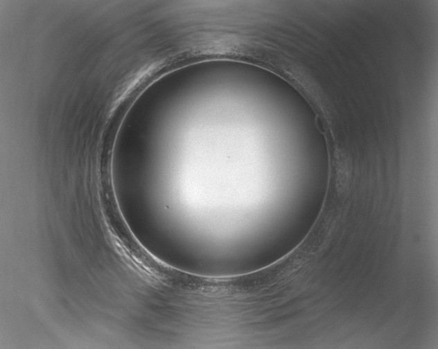 X0000078270482200611031146