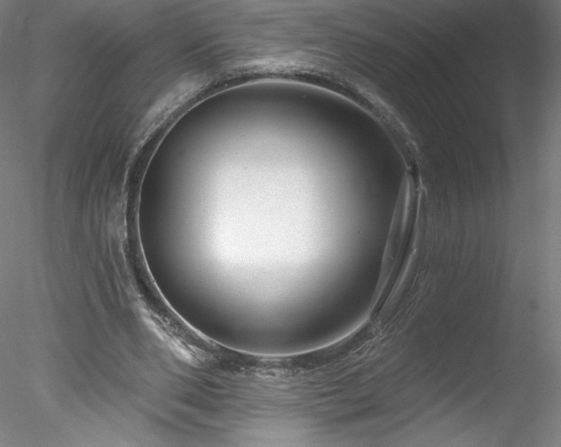 X0000078270486200611031146